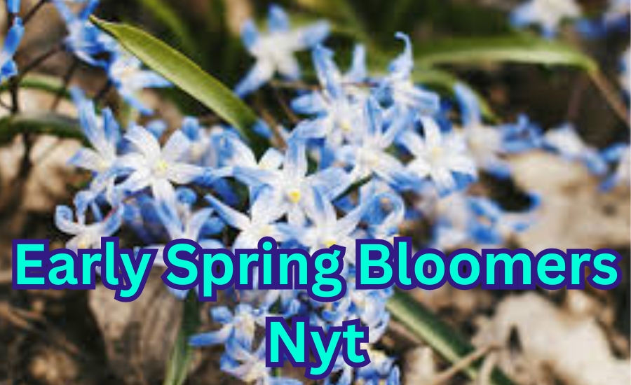 early spring bloomers