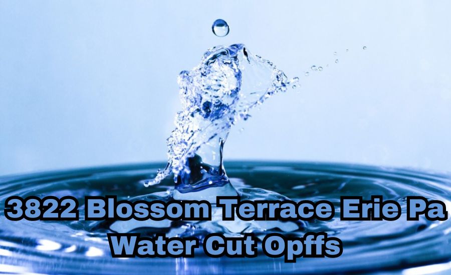 3822 blossom terrace erie pa water cut opffs