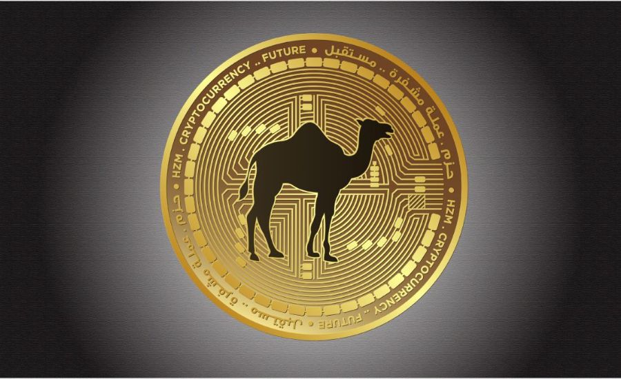 Camel Activate Single Crypto